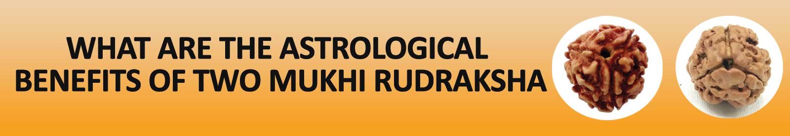 What are the Astrological Benefits of Two Mukhi Rudraksha?