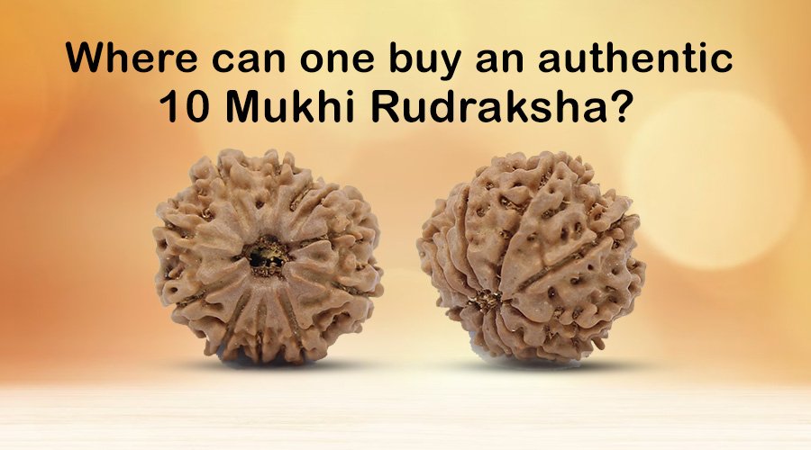 Where can one buy an authentic 10 Mukhi Rudraksha?