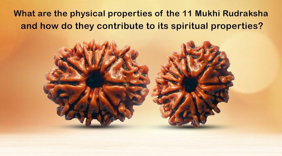 What are the physical properties of the 11 Mukhi Rudraksha, and how do they contribute to its spiritual properties?