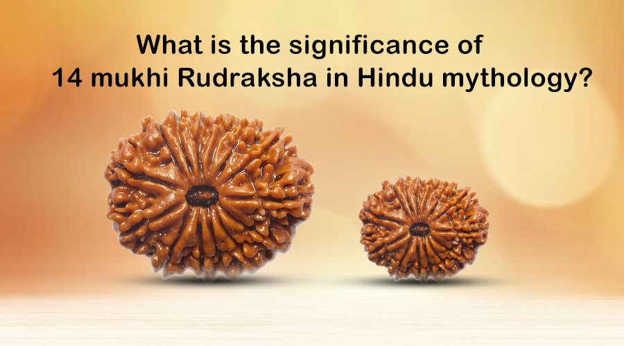 What is the significance of 14 mukhi Rudraksha in Hindu mythology?