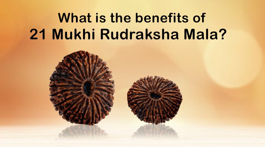Indonesia rudraksha mala - sizes from 3mm to 10mm for each bead. Rudraksha  beads of Nepal is used as mala, bracelet & worn for health and disease cure  benefits