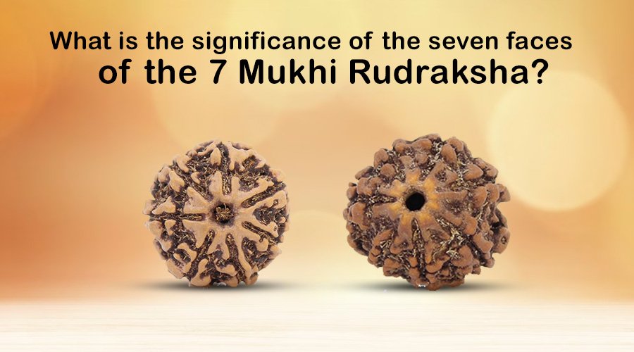 What is the significance of the seven faces of the 7 Mukhi Rudraksha?