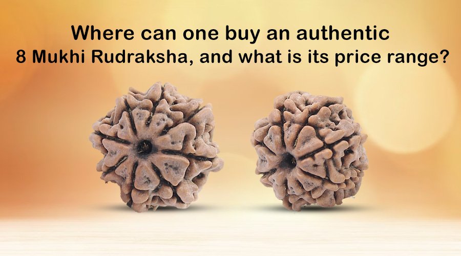 Where can one buy an authentic 8 Mukhi Rudraksha, and what is its price range?