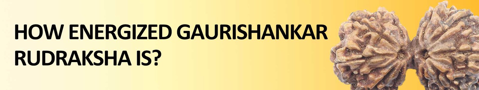 How energized Gaurishankar Rudraksha is?
