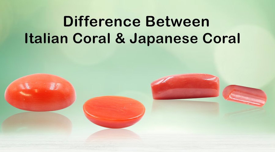 Difference Between Italian Coral & Japanese Coral
