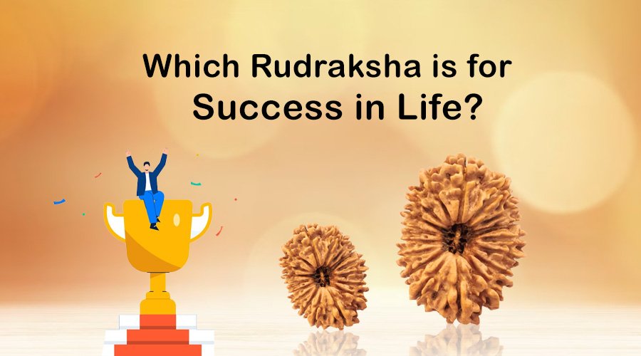 Which Rudraksha is for Success in Life?