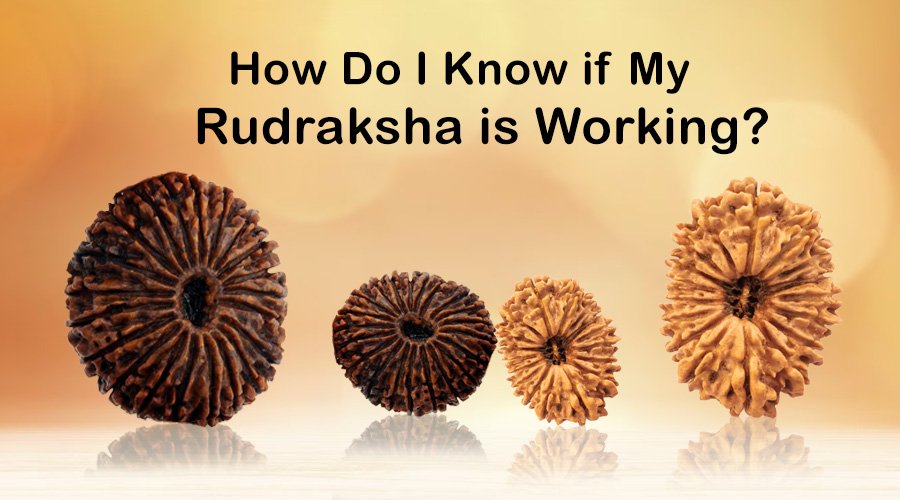 How do I know if My Rudraksha is Working?