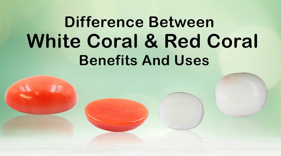 Difference Between White Coral & Red Coral:- Benefits And Uses